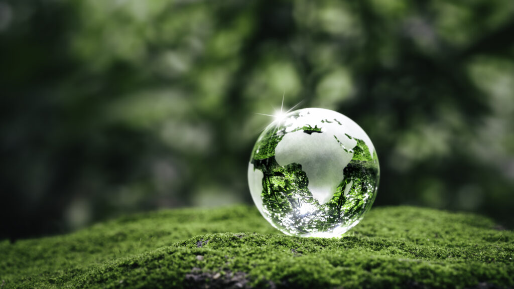 eco-friendly storage company debourgh globe green background